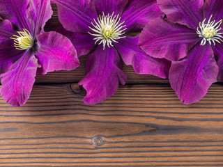Three purple clematis flowers on the wooden planks