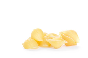 Cockleshell macaroni