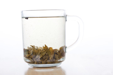 Green tea in glass cup with tea leafs