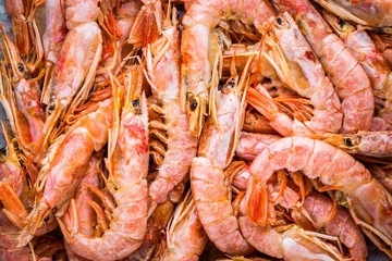 fresh raw shrimps close-up, background