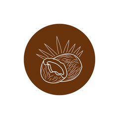 Coconut, Colorful Round  Icon  Coco, Fruit Icon,  Vector Illustration