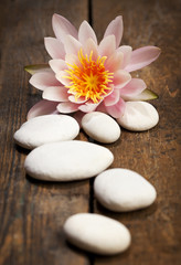 Waterlily and pebbles on wooden background