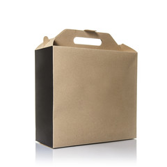 Paper Shopping Bag