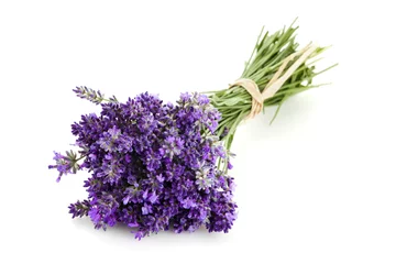 Photo sur Plexiglas Lavande Bundled Lavender Flowers Isolated On White Background