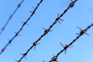 Fototapeta na wymiar Prison Rusty Barbed Wire On Blue Sky