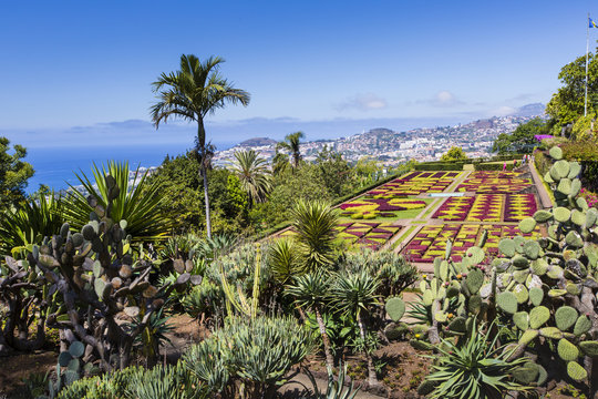 Famous Tropical Botanical Gardens in Funchal town, Madeira islan