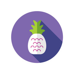 Pineapple flat icon with long shadow