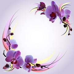 Vector greeting card with violet orchids