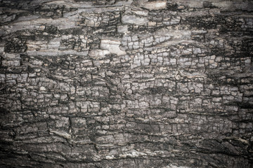 Old wood cracked texture