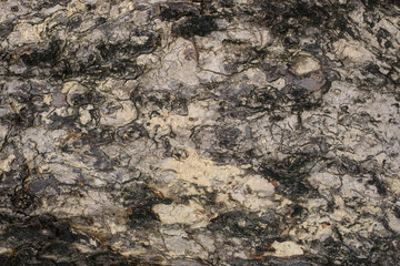 Old wood cracked texture