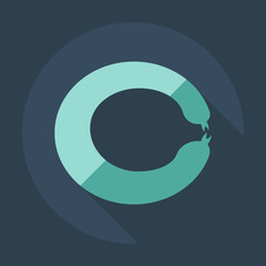 Flat modern design with shadow icons sausages