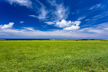 海岸線と草原