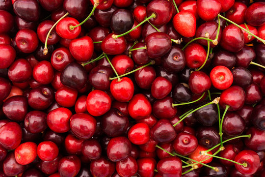 Red Cherries.   Cherry selection.  Background of ripe cherries