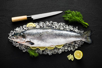 Salmon fish and ingredients on ice on a black stone table top vi