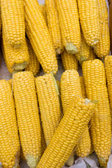 fresh corn.  yellow corn background