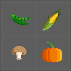 Colorful Vegetable Icon Set on Grey Background
