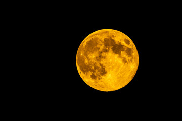 Luna dorata © domeniconardozza