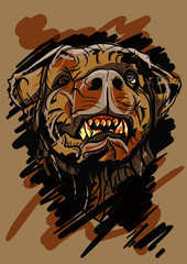 Dog head illustration - editable vector graphic