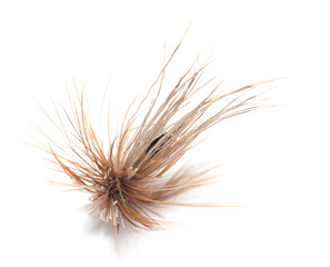 Obraz premium fly for fishing on white background