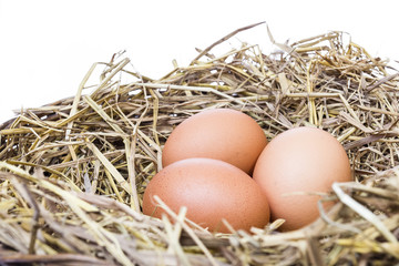 Three fresh eggs from chicken farm is good for healthy on straw