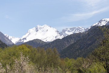 Fototapeta premium snowy mountains in Kazakhstan