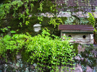 Fototapeta na wymiar Duplex Birdhouse on rocky ledge with lichen and plants in backyard 