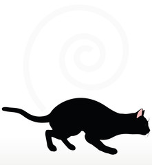 cat silhouette in Stalking pose