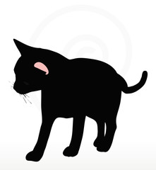 cat silhouette in Rubbing Scent  pose