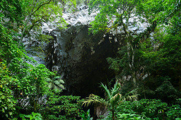 The entrance of a cave surrounded by vegetation