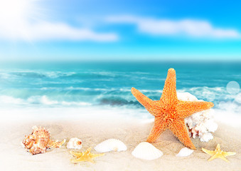 Fototapeta na wymiar Seashells on seashore in tropical beach - summer holiday background