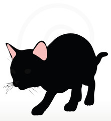 cat silhouette in Stalking pose