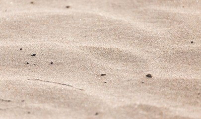 background of sand in nature