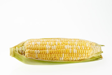Corn isolated on white background