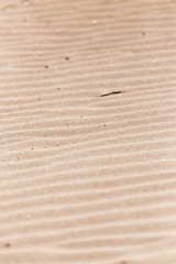 background of sand in nature