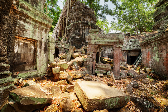 Trees growing among ruins of Preah Khan temple in Angkor Wat