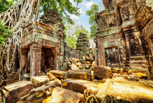 Trees growing among ruins of Preah Khan temple in ancient Angkor