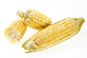 Corn isolated on white background