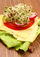 Vegetarian sandwich with alfalfa and radish sprouts