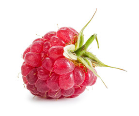 One ripe fresh raspberry