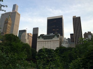 Naklejka premium central park view
