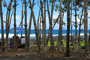 La Réunion - Pique-nique sous les vacoas à Vincendo