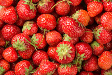 Fresh Strawberry Background