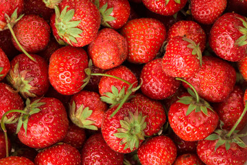 Fresh Strawberry Background