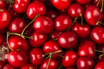 Red Cherry Background