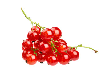 Red currants isolated on white