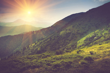 Obraz na płótnie Canvas Summer mountain landscape at sunshine. Hiking trail in the hills.