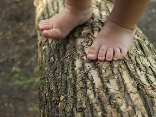 Baby feet are standing on a tree branch.