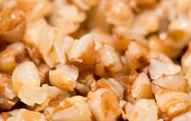 buckwheat groats as background. close