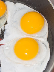 fried eggs