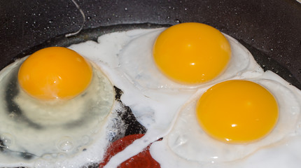 fried eggs